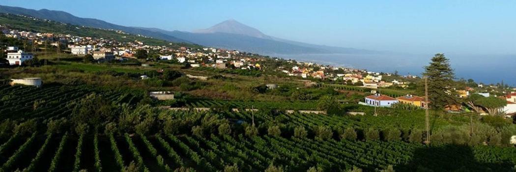 Stunning Views At Tenerife Tacoronte Εξωτερικό φωτογραφία